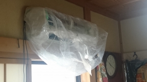 DSC_0462 (2000x1125).jpg